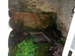 DSCN2438