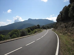 IMG_1254 IMG_1254