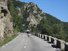 IMG_1237 IMG_1237