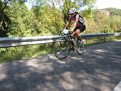 IMG_1262 IMG_1262