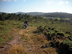 DSCN6861 DSCN6861