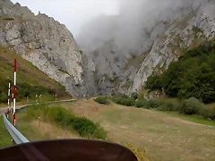 35