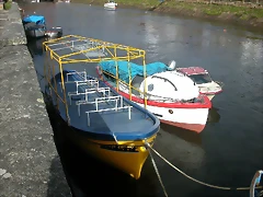 DSCN7522 DSCN7522