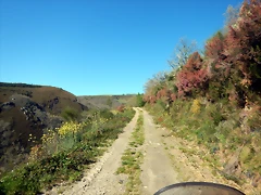 DSCN0109 DSCN0109