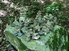 IMG_7153 IMG_7153