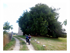 DSCN3521