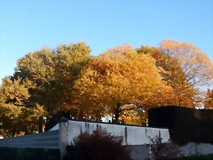 DSCN8968 DSCN8968