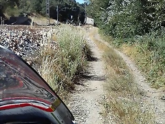 56