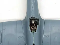 SDC39447 SDC39447
