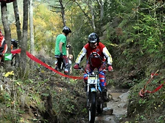 DSC_0061 DSC_0061