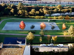 DSCN8943 DSCN8943