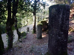 DSCN1695 DSCN1695