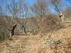 DSCN2630 DSCN2630