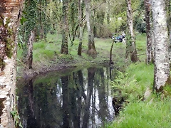 DSCN9182