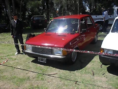 SDC13655 SDC13655