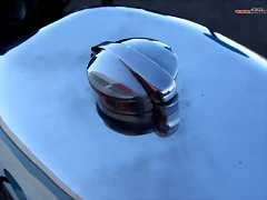IMG_1303 IMG_1303