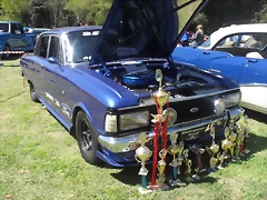 SDC13702 SDC13702