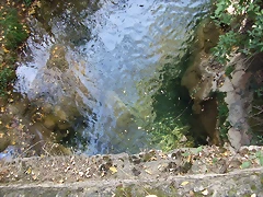 DSCF2076 DSCF2076