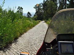 Camino