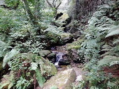 DSCN0909 DSCN0909