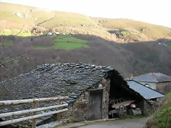 DSCN8595