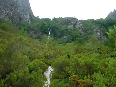 DSCN3877 DSCN3877