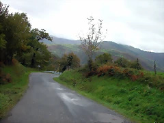 DSCN5917 DSCN5917