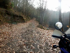 DSCN1065 DSCN1065