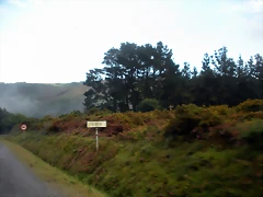 DSCN8462 DSCN8462