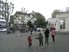 R0013291 R0013291