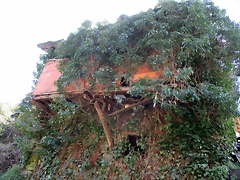 IMG_0122 IMG_0122