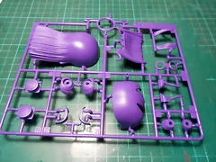 DSCN6296 DSCN6296