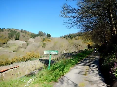 DSCN5206 DSCN5206