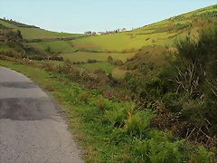 39-IMG_3387 39-IMG_3387