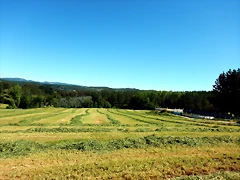 DSCN2340 DSCN2340