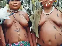 indigenas