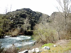 DSCN3179 DSCN3179
