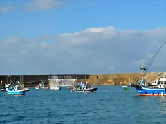 DSC_0545