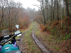 DSCN5590 DSCN5590