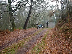 DSCN5587 DSCN5587