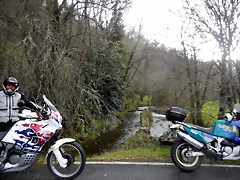 DSCN9560 DSCN9560