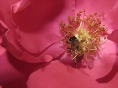 IMG_8754-1 IMG_8754-1