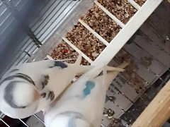 20190507_200448 20190507_200448