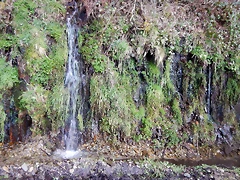 DSCN9550 DSCN9550