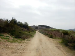 DSCN3522 DSCN3522