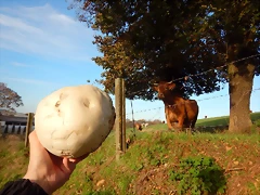DSCN0541 DSCN0541