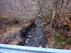 DSCN4040 DSCN4040