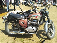 IMG_20220702_122320_413 IMG_20220702_122320_413