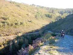 DSCN9053