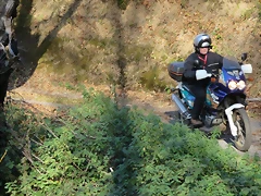 IMG_0136 IMG_0136
